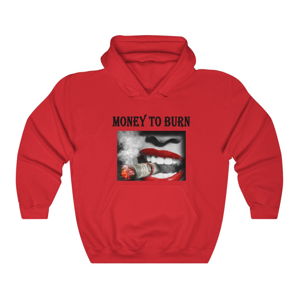 Money to Burn - Printed Hoodie || Hoodie